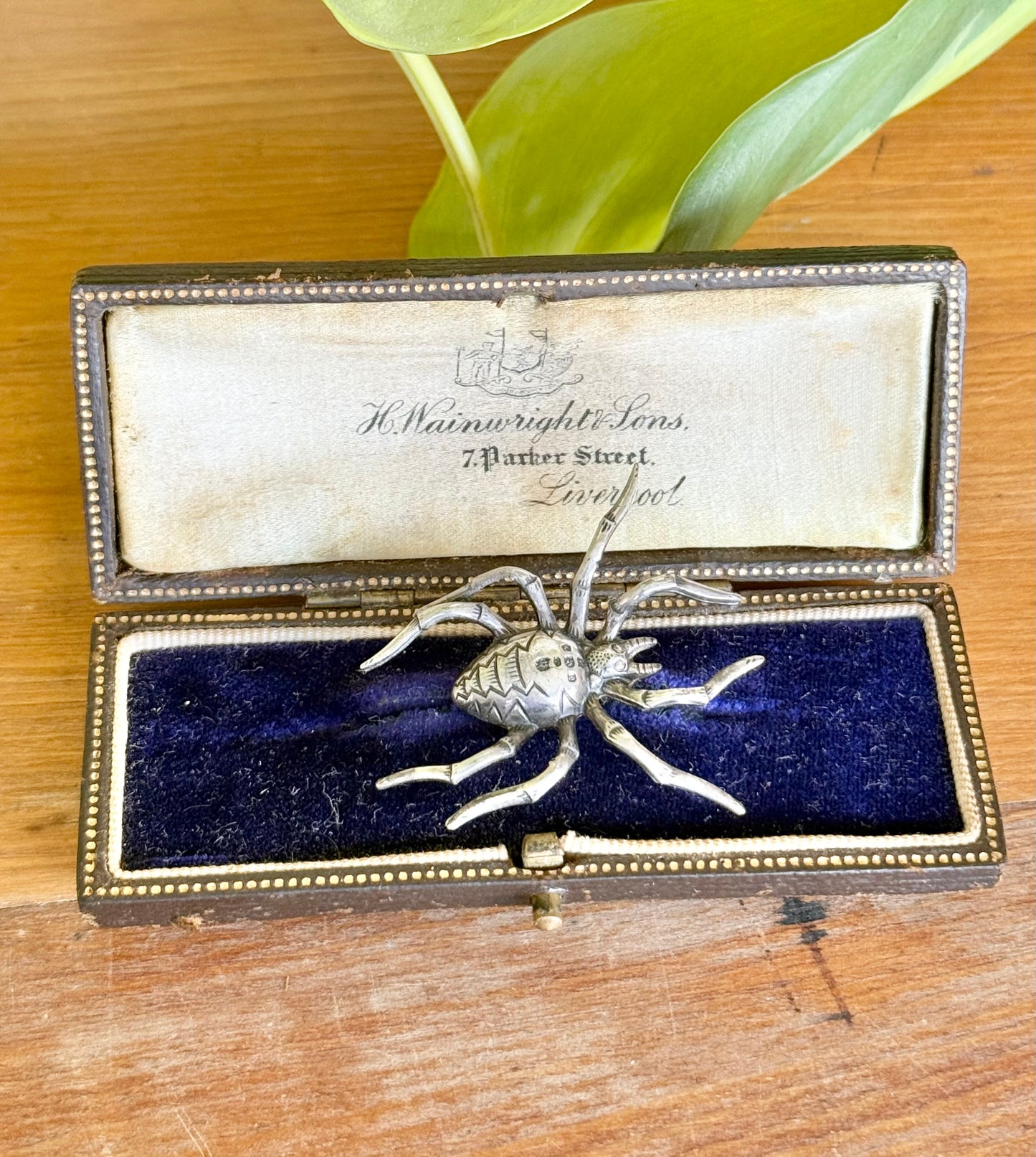 Antique Sterling Silver Spider Brooch | Late Victorian | Naturalistic Detail