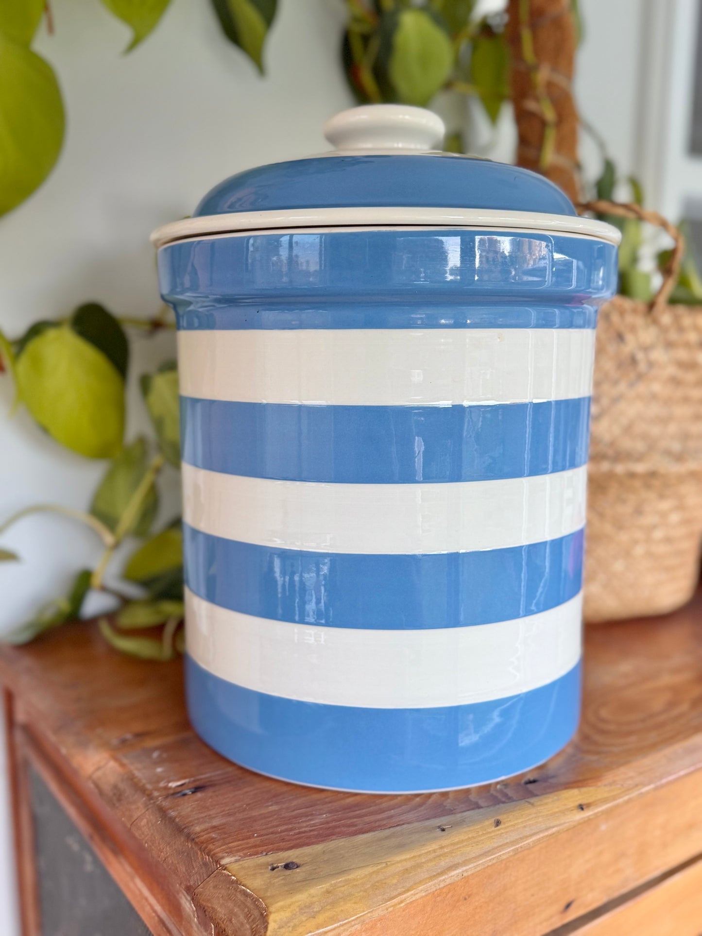 Vintage T.G. Green Cornishware Blue & White Bread Bin Canister 1950s