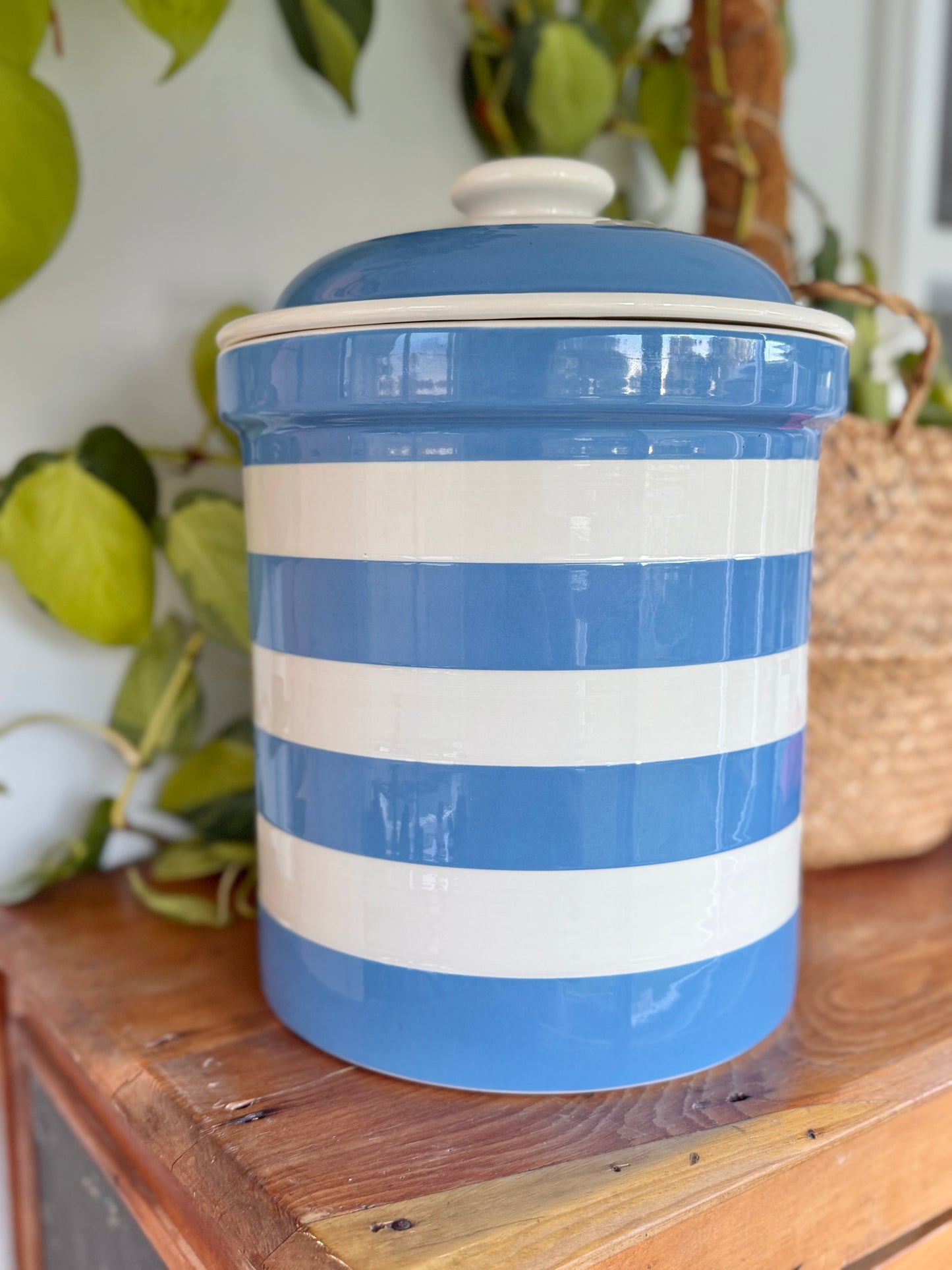 Vintage T.G. Green Cornishware Blue & White Bread Bin Canister 1950s