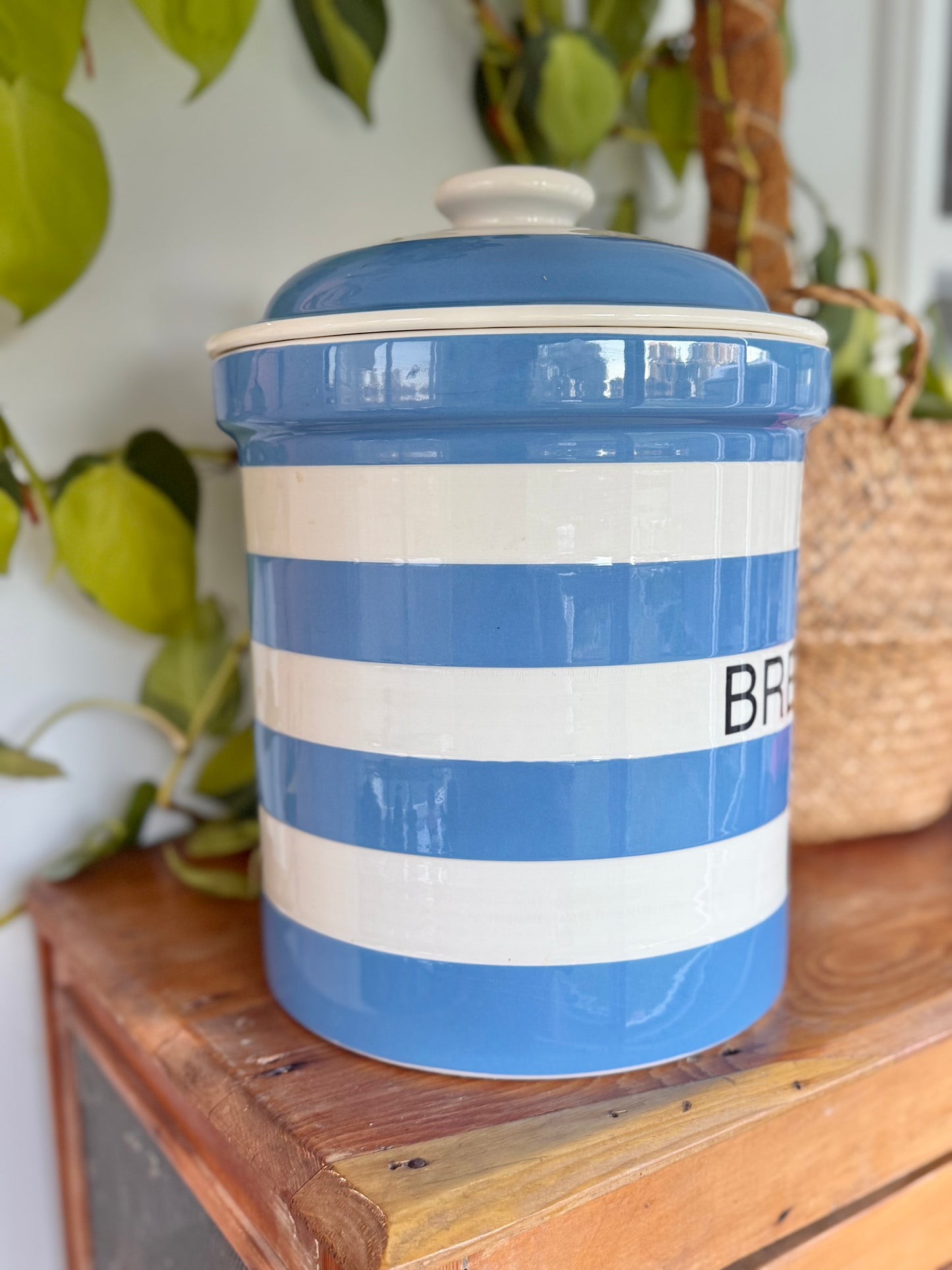 Vintage T.G. Green Cornishware Blue & White Bread Bin Canister 1950s