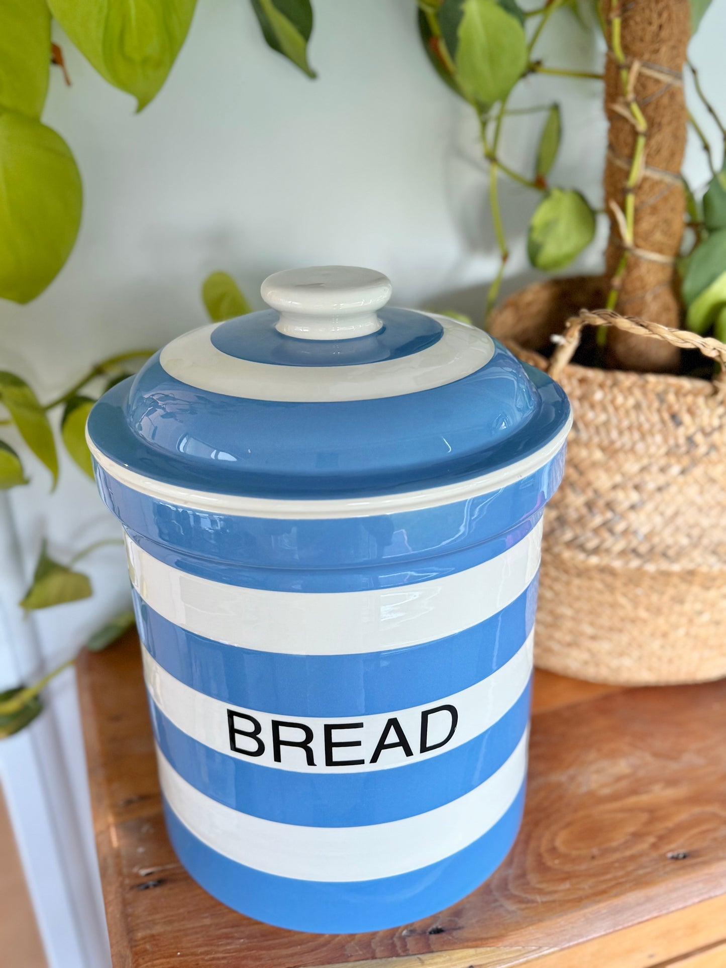 Vintage T.G. Green Cornishware Blue & White Bread Bin Canister 1950s