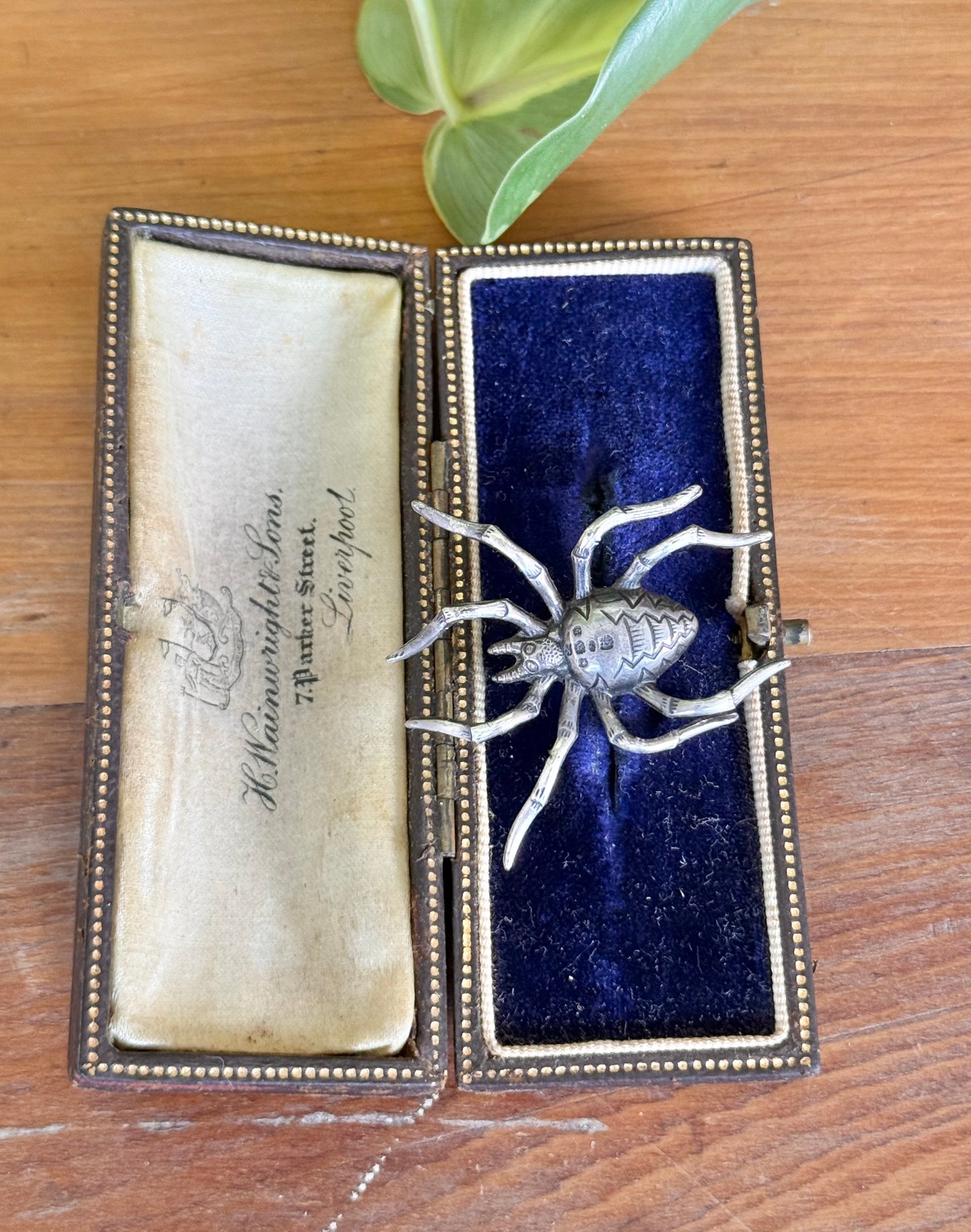 Antique Sterling Silver Spider Brooch | Late Victorian | Naturalistic Detail