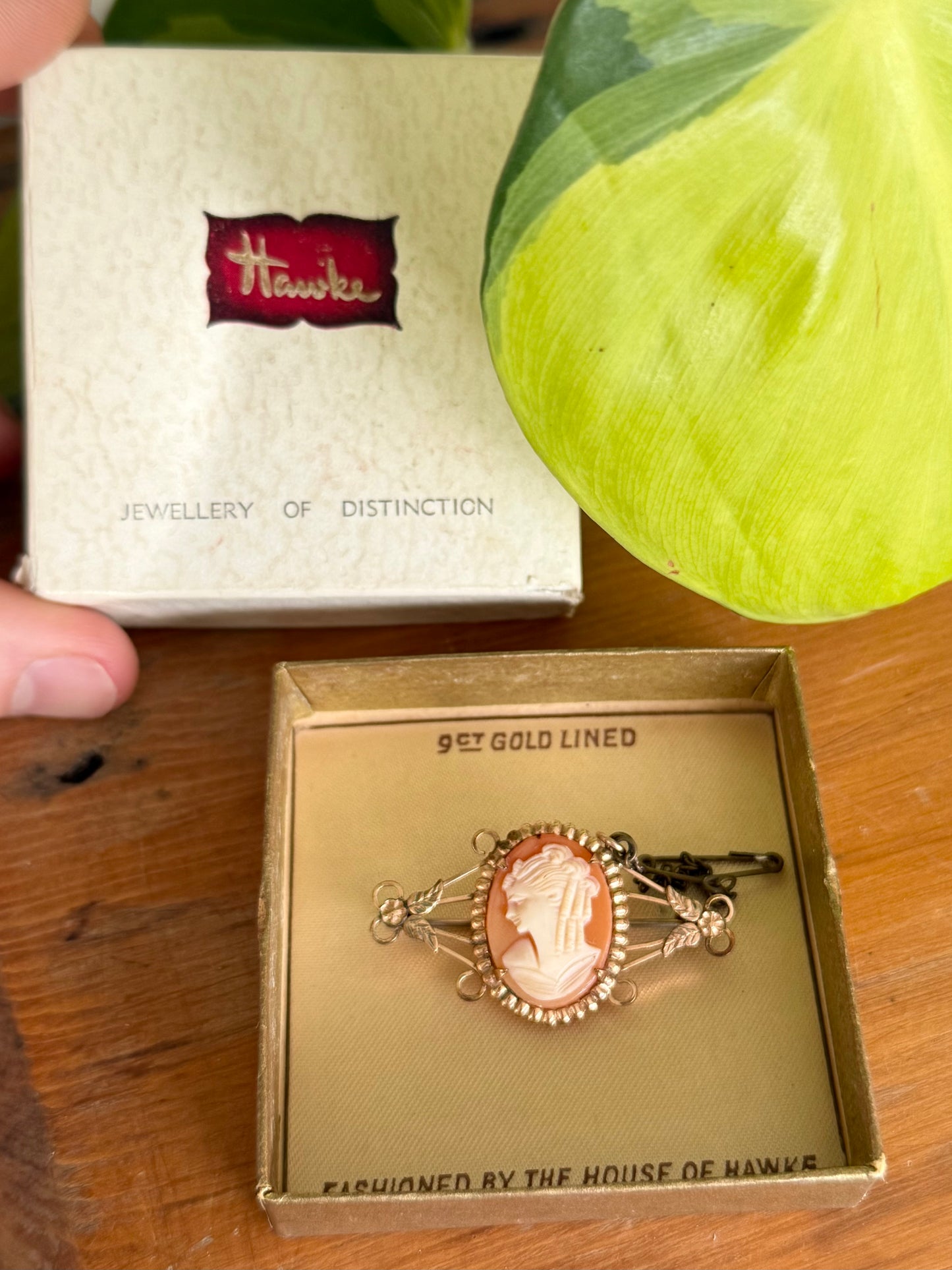 Vintage Australian Hawke 9ct Gold-Lined Carved Shell Cameo Brooch with Original Box