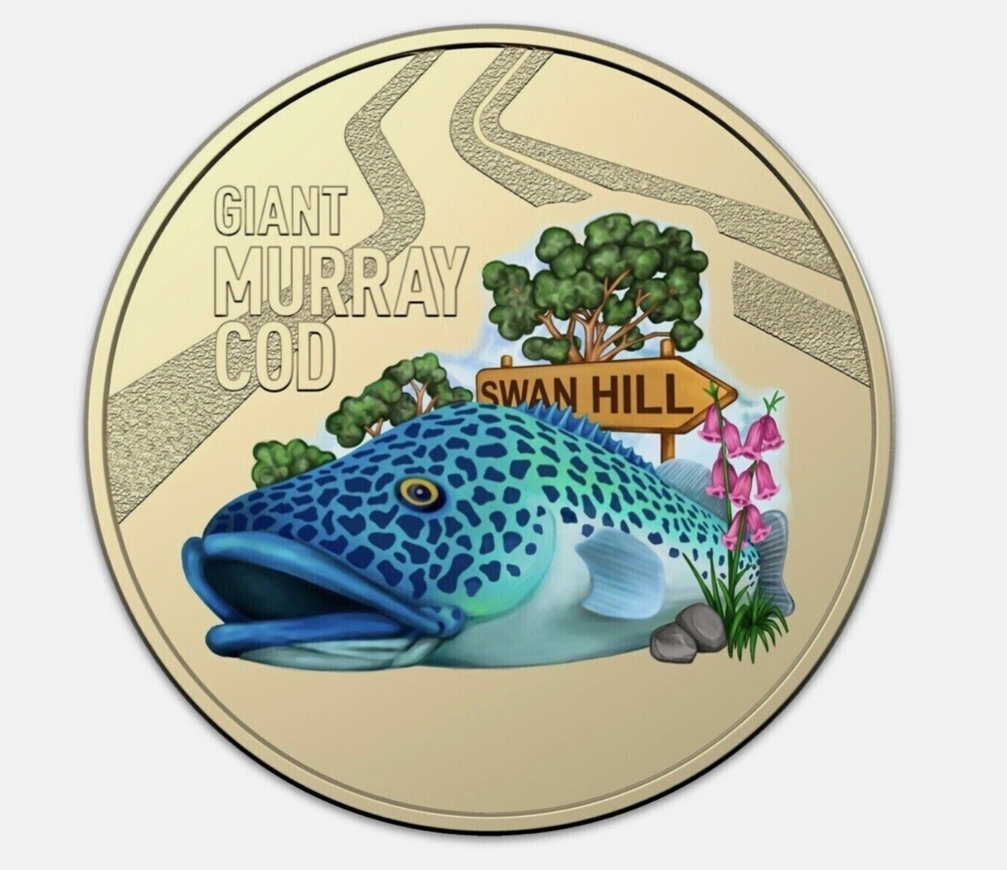 2023 - Giant Murray Cod (Coloured)