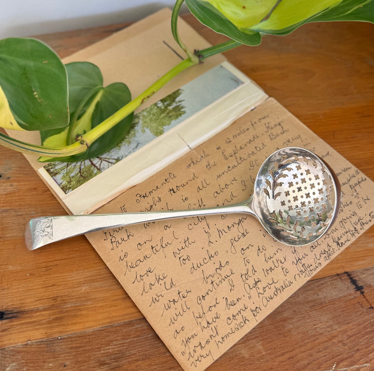 Georgian Sterling Silver Sugar Sifter Spoon with Heraldic Sea-Lion Crest – London 1785