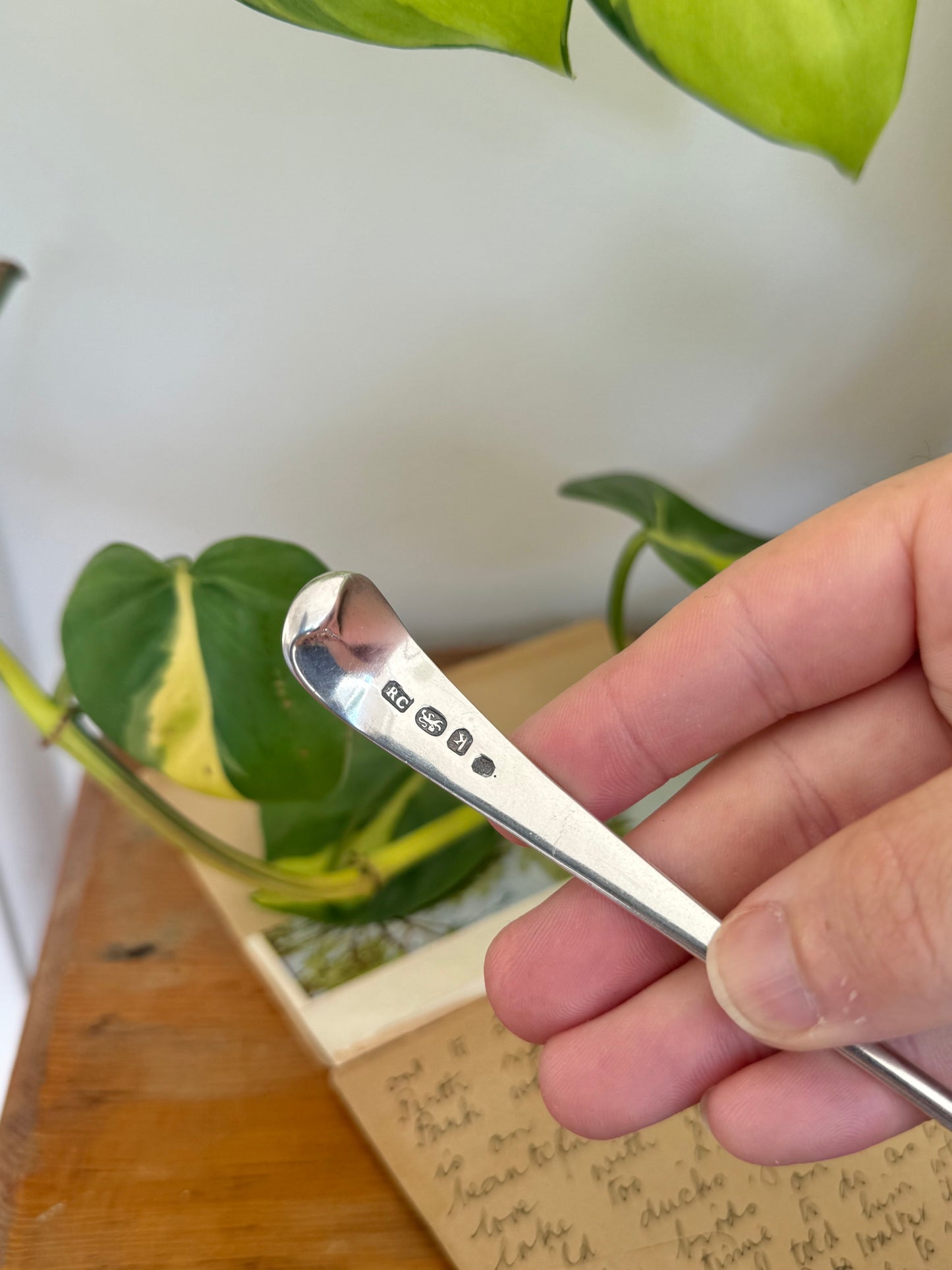 Georgian Sterling Silver Sugar Sifter Spoon with Heraldic Sea-Lion Crest – London 1785