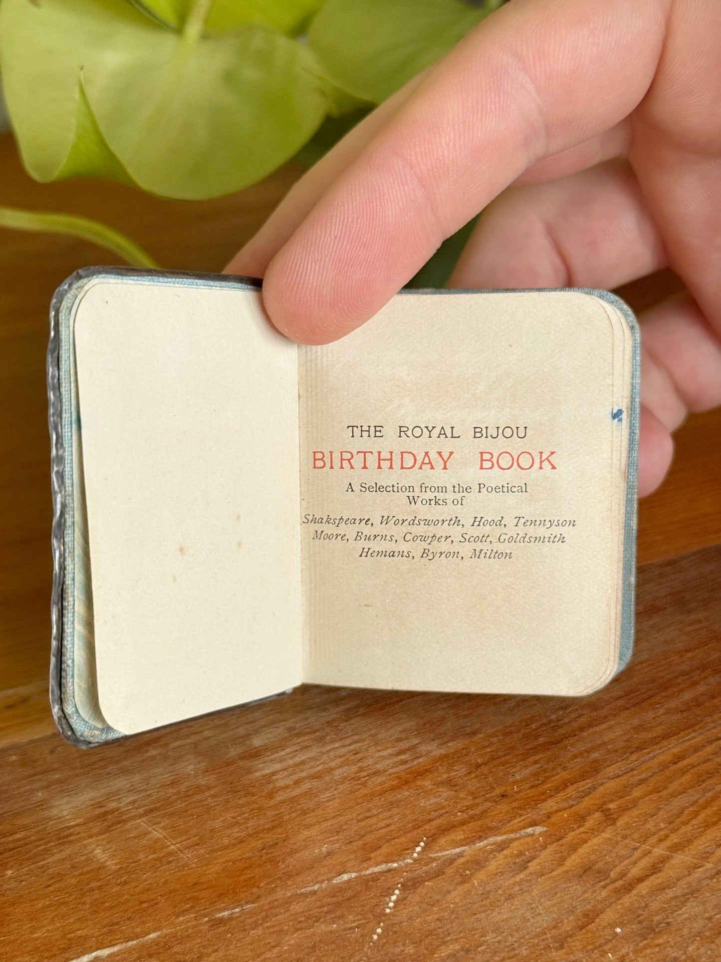 Royal Bijou Miniature Birthday Book | Hallmarked Silver Front | Chester 1906