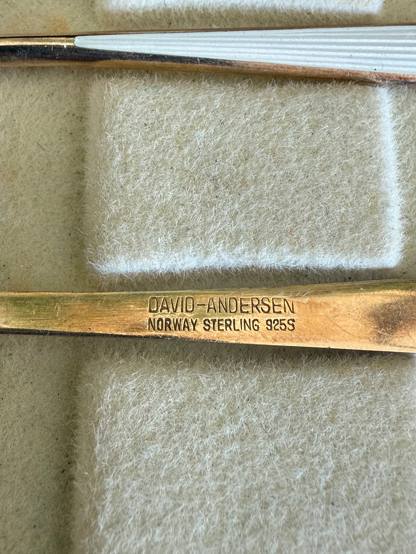 David - Andersen Tea Spoon Set  | Guilloché Enamel Sterling Silver