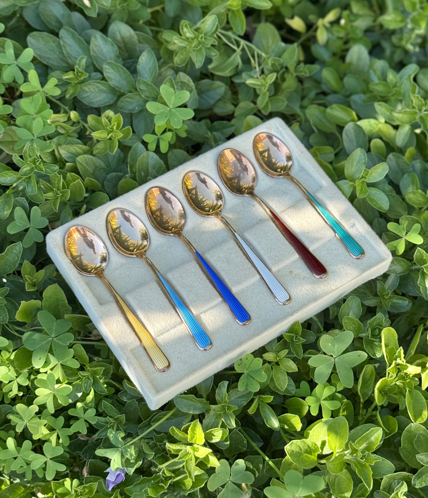 David - Andersen Tea Spoon Set  | Guilloché Enamel Sterling Silver